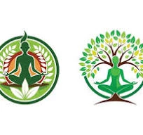 HINDUSTAN AYURVEDA LTD